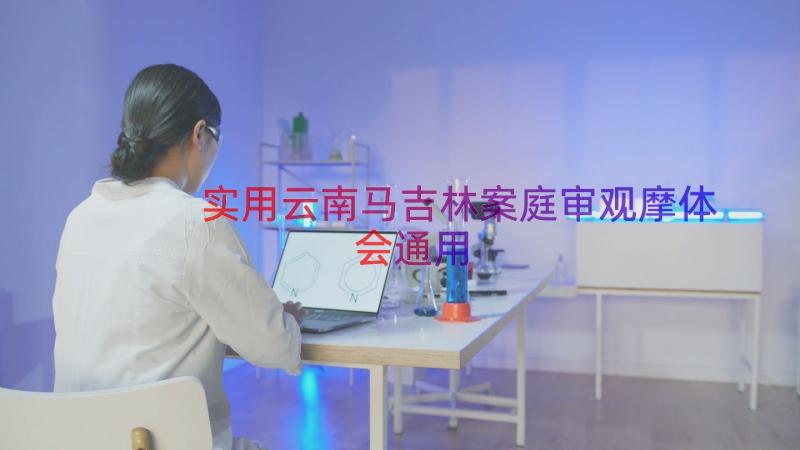 实用云南马吉林案庭审观摩体会通用