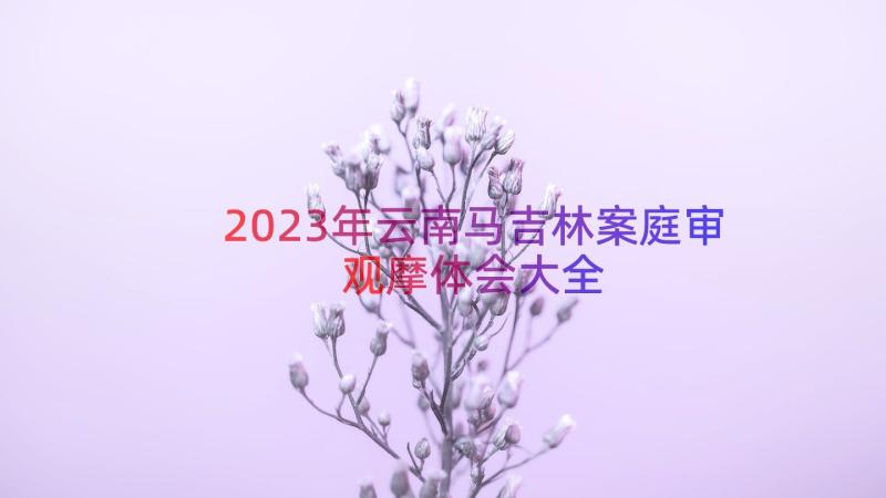 2023年云南马吉林案庭审观摩体会大全（16篇）