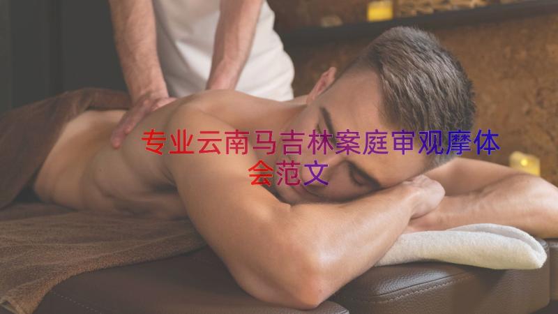 专业云南马吉林案庭审观摩体会范文（16篇）