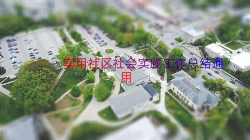 实用社区社会实践工作总结（通用15篇）