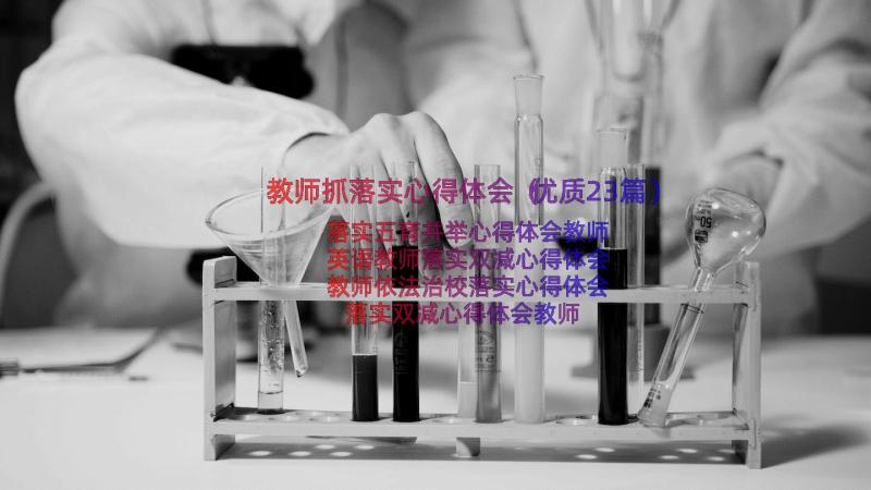 教师抓落实心得体会（优质23篇）