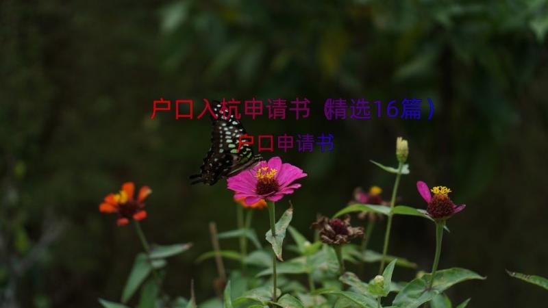 户口入杭申请书（精选16篇）