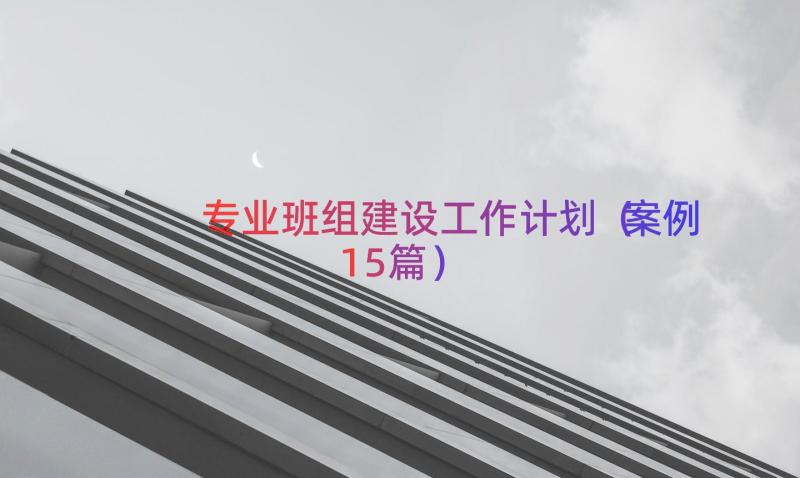 专业班组建设工作计划（案例15篇）