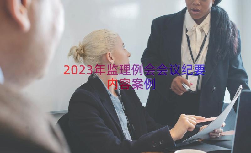 2023年监理例会会议纪要内容案例