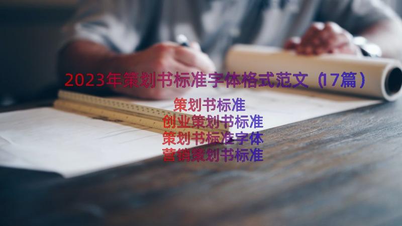 2023年策划书标准字体格式范文（17篇）