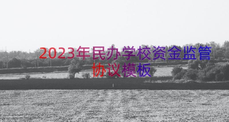 2023年民办学校资金监管协议（模板17篇）