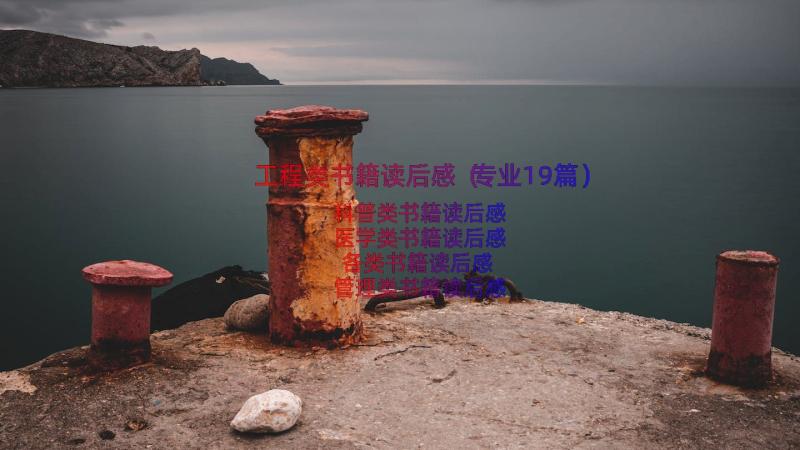 工程类书籍读后感（专业19篇）