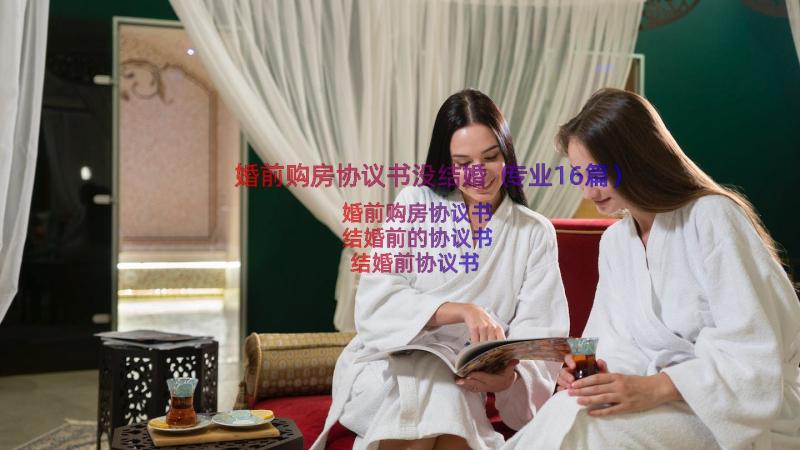 婚前购房协议书没结婚（专业16篇）