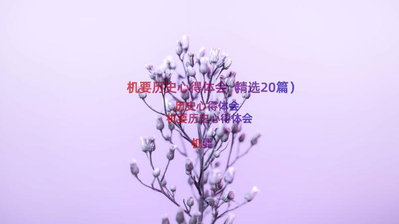 机要历史心得体会（精选20篇）