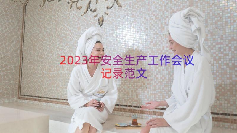 2023年安全生产工作会议记录范文（12篇）