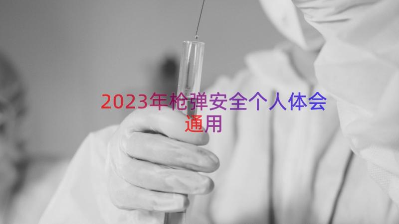 2023年枪弹安全个人体会（通用17篇）