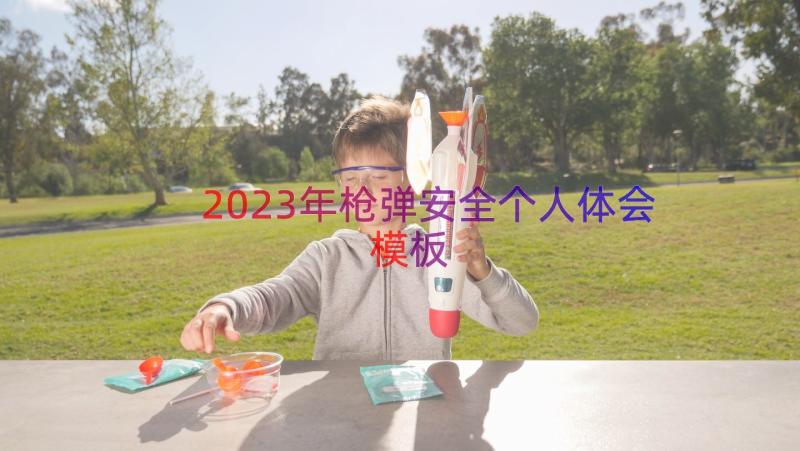 2023年枪弹安全个人体会（模板16篇）