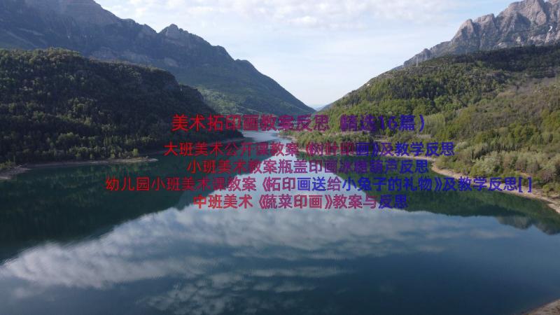 美术拓印画教案反思（精选16篇）