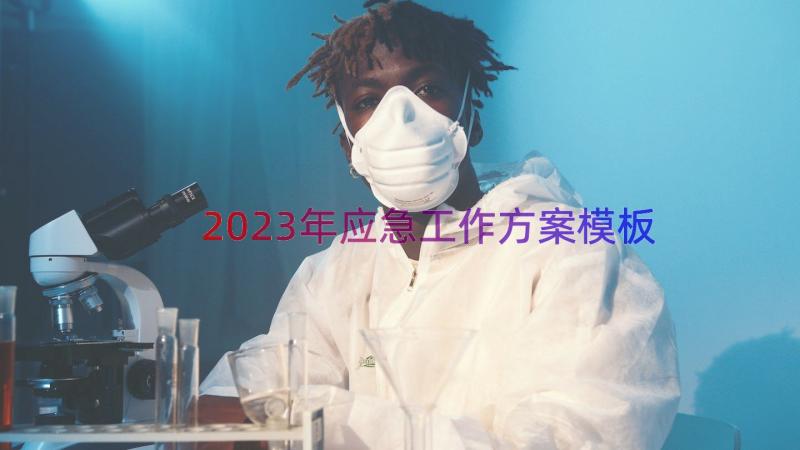 2023年应急工作方案（模板18篇）