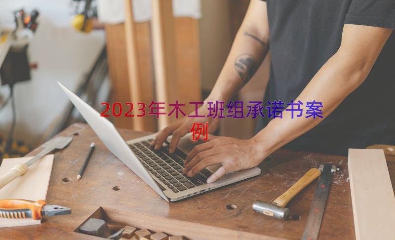 2023年木工班组承诺书（案例12篇）