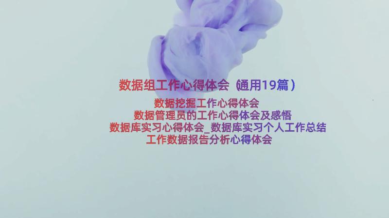 数据组工作心得体会（通用19篇）