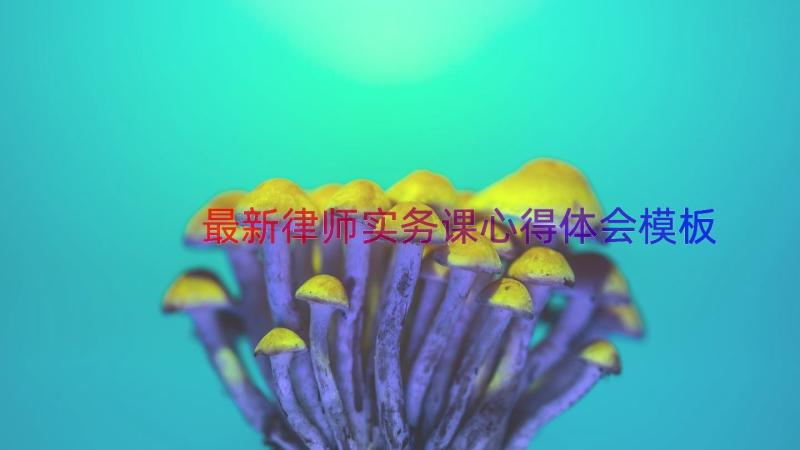 最新律师实务课心得体会（模板13篇）