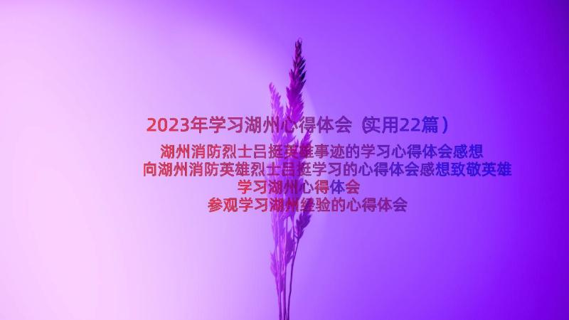 2023年学习湖州心得体会（实用22篇）