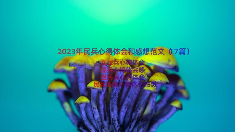 2023年民兵心得体会和感想范文（17篇）