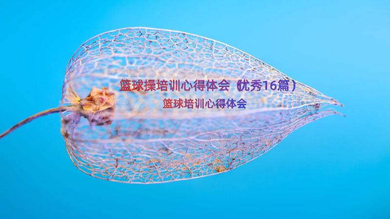 篮球操培训心得体会（优秀16篇）