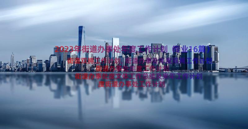 2023年街道办事处年度工作计划（专业16篇）