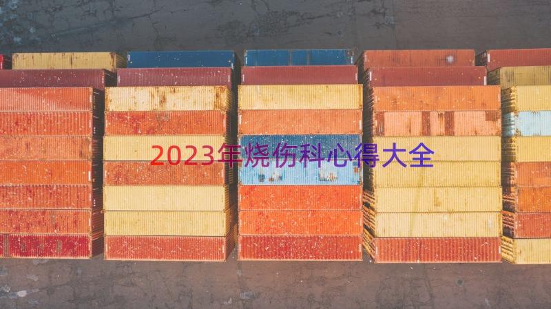 2023年烧伤科心得大全（18篇）