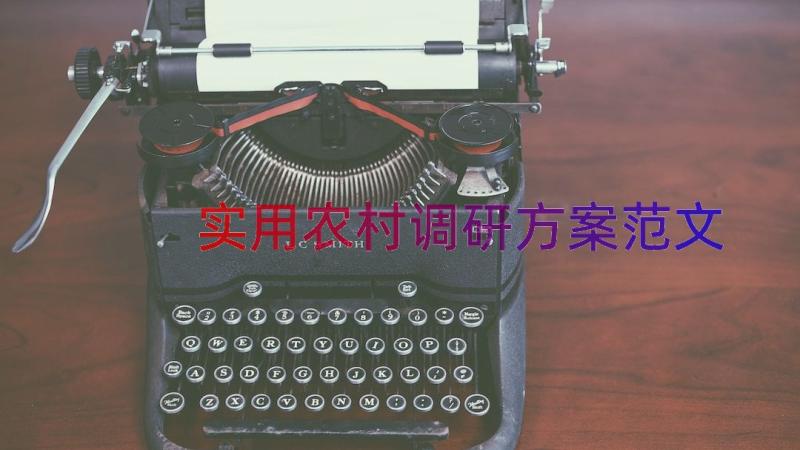 实用农村调研方案范文（21篇）