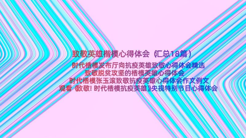 致敬英雄楷模心得体会（汇总18篇）