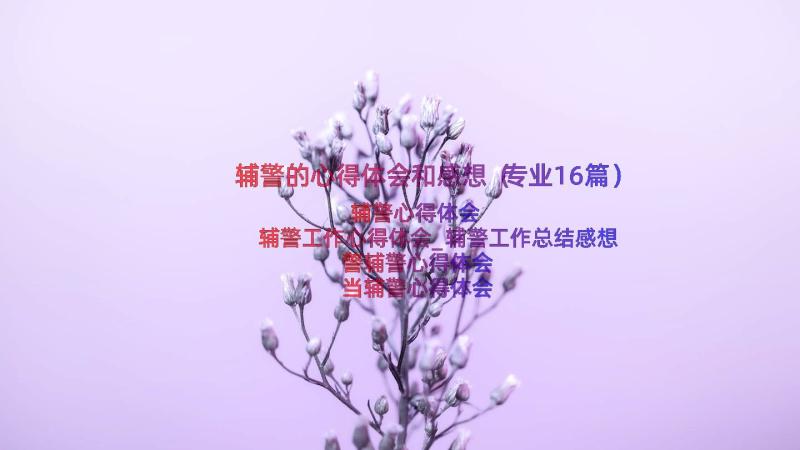 辅警的心得体会和感想（专业16篇）