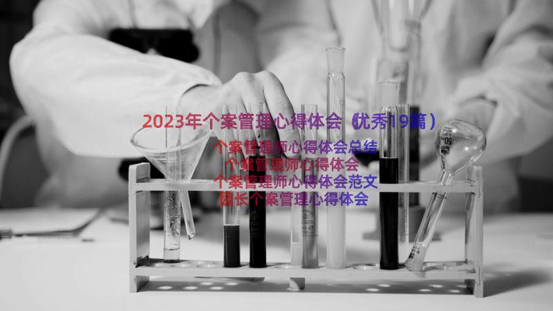 2023年个案管理心得体会（优秀19篇）