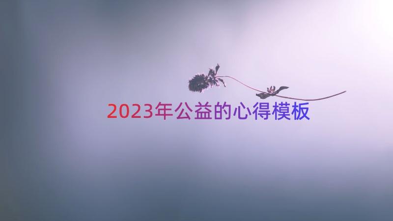 2023年公益的心得（模板12篇）