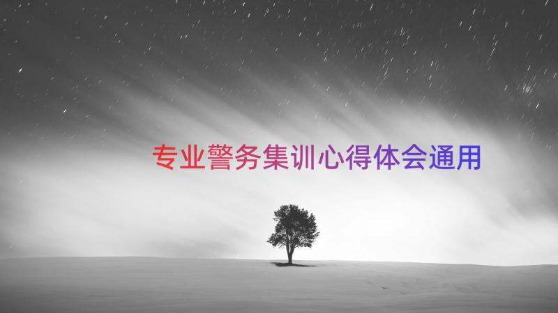 专业警务集训心得体会（通用12篇）