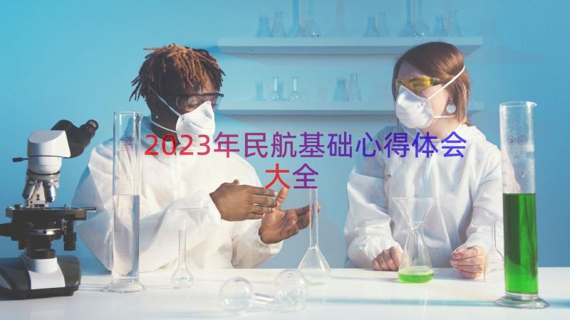 2023年民航基础心得体会大全（17篇）