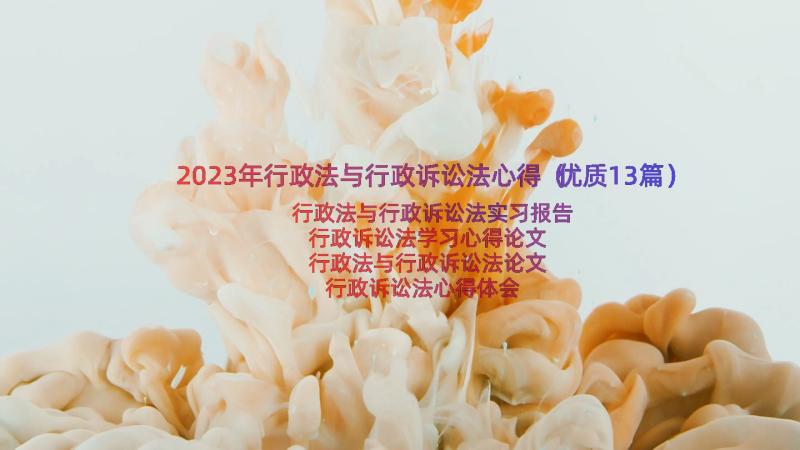 2023年行政法与行政诉讼法心得（优质13篇）