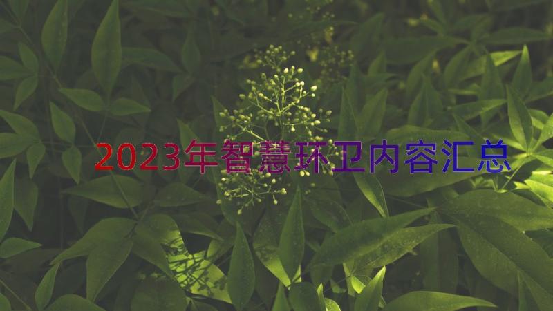 2023年智慧环卫内容（汇总15篇）