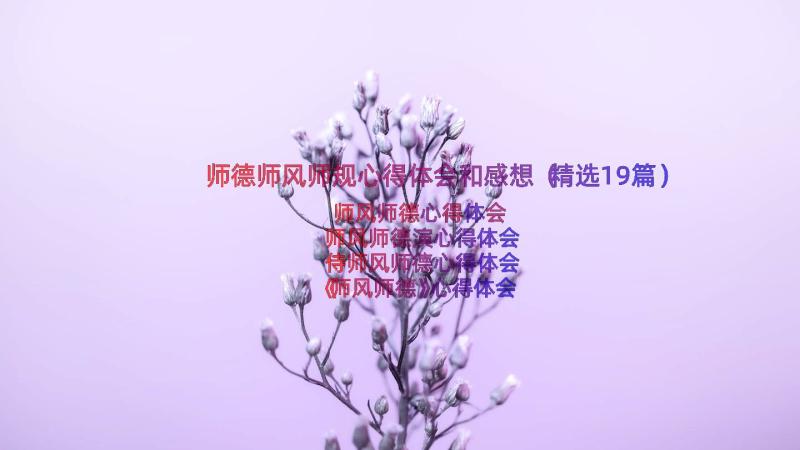 师德师风师规心得体会和感想（精选19篇）