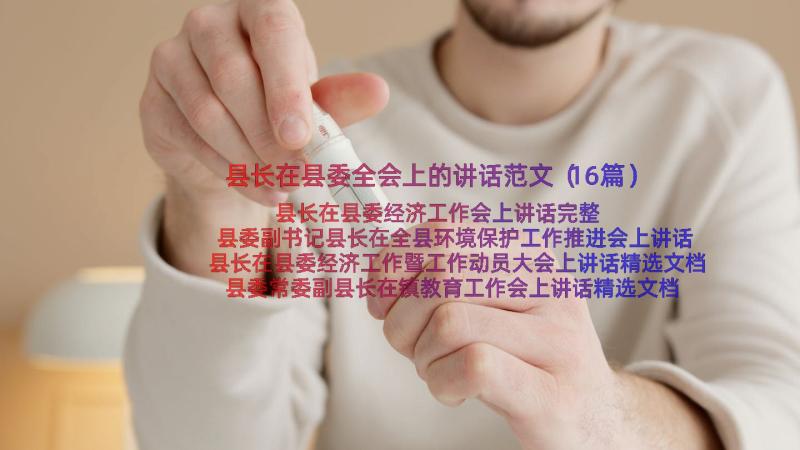 县长在县委全会上的讲话范文（16篇）