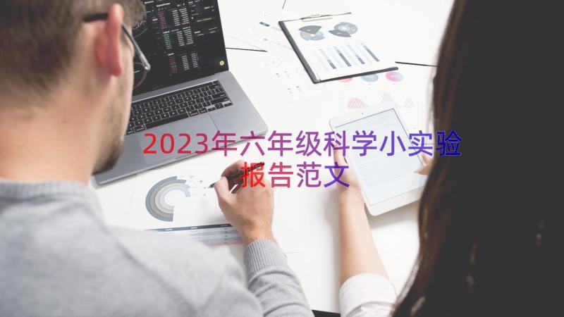 2023年六年级科学小实验报告范文（18篇）