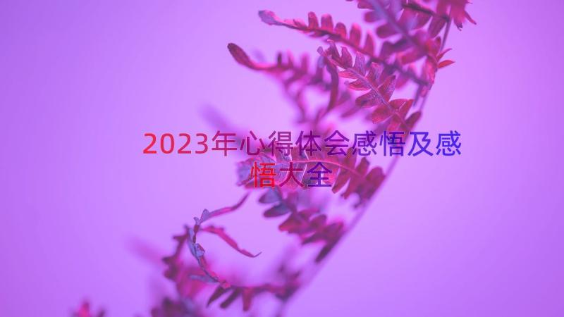 2023年心得体会感悟及感悟大全（15篇）