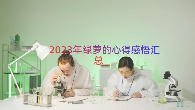 2023年绿萝的心得感悟（汇总15篇）