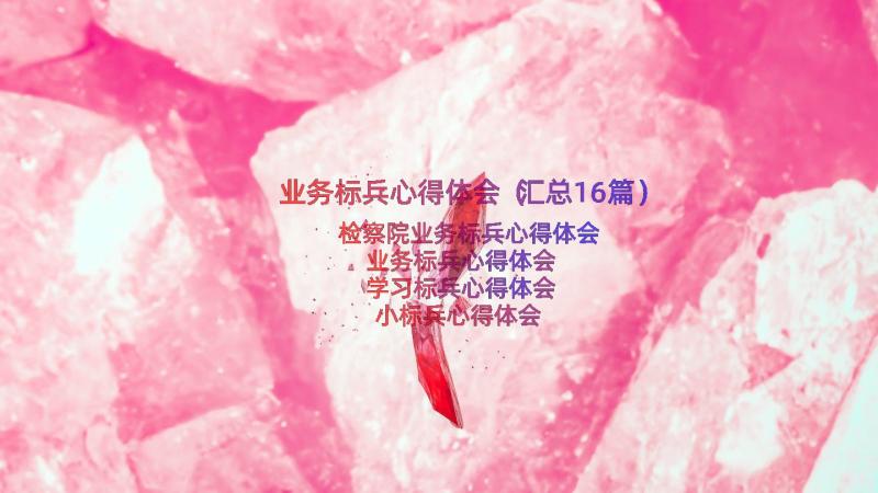 业务标兵心得体会（汇总16篇）