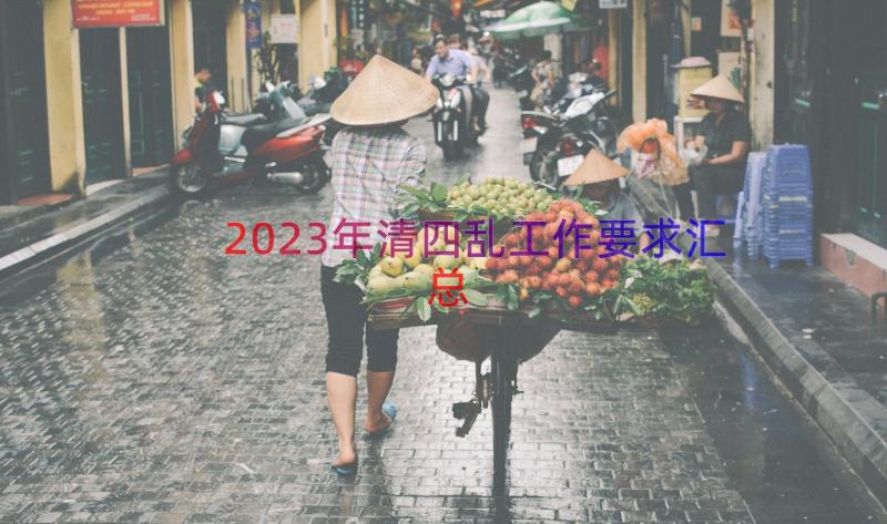 2023年清四乱工作要求（汇总19篇）