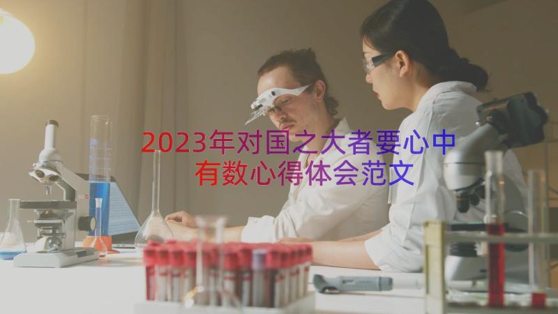 2023年对国之大者要心中有数心得体会范文（17篇）