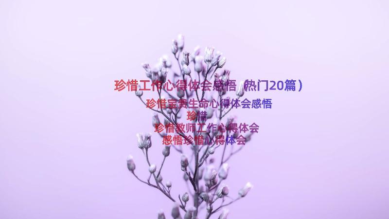 珍惜工作心得体会感悟（热门20篇）