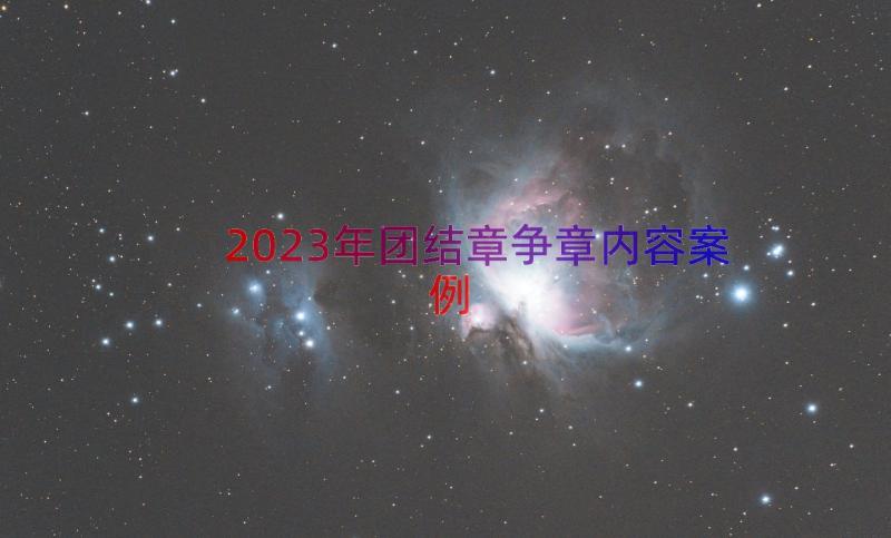 2023年团结章争章内容（案例14篇）