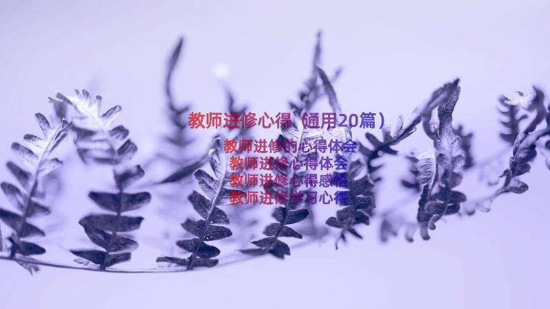 教师进修心得（通用20篇）