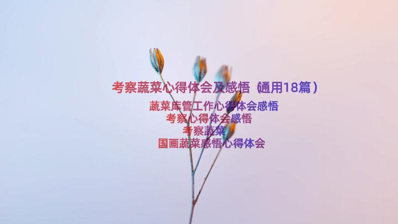 考察蔬菜心得体会及感悟（通用18篇）