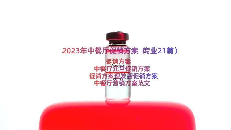 2023年中餐厅促销方案（专业21篇）