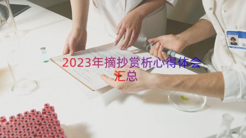 2023年摘抄赏析心得体会（汇总15篇）