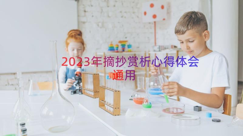 2023年摘抄赏析心得体会（通用13篇）